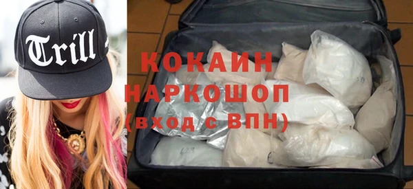 молекула духа Няндома