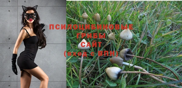 молекула духа Няндома