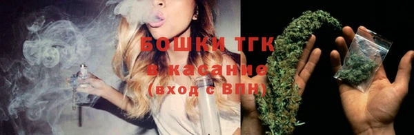молекула духа Няндома