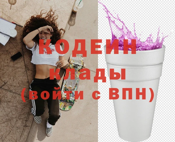молекула духа Няндома