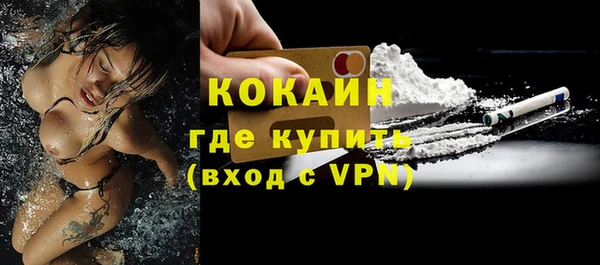 молекула духа Няндома