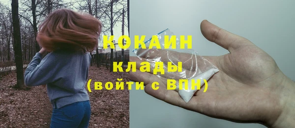 молекула духа Няндома